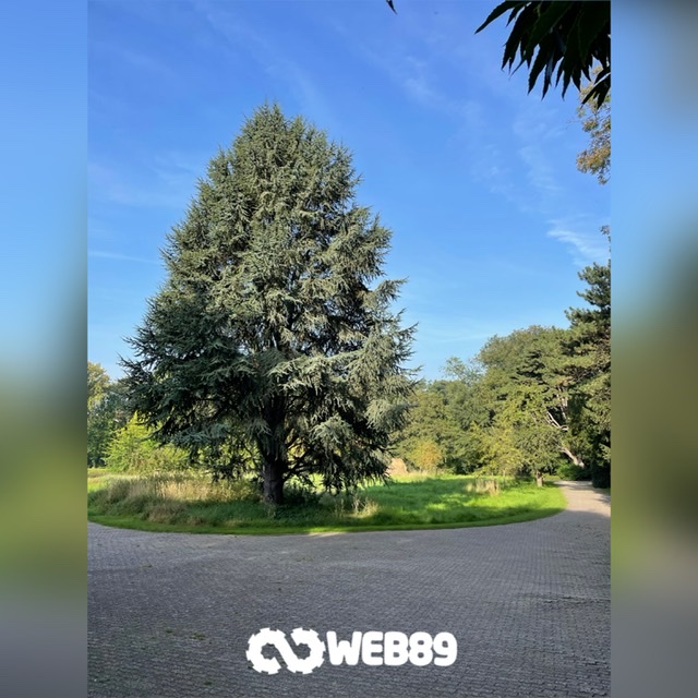 agence web 1640 Rhode-saint-genese Agence internet Gestion de contenu Créer votre site Refonte du site Projet web