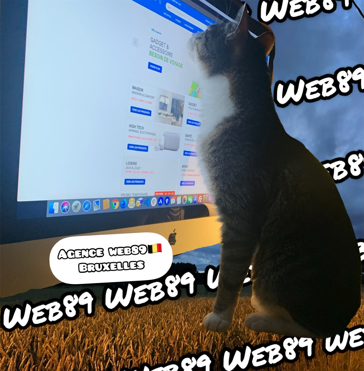 agence web 9230 Westrem Agence internet Gestion de contenu Créer votre site Refonte du site Projet web