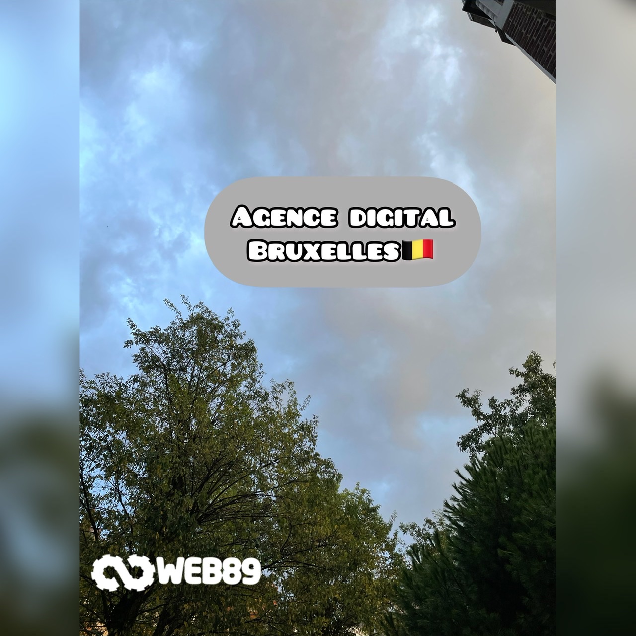 agence web 5571 Wiesme Agence internet Gestion de contenu Créer votre site Refonte du site Projet web