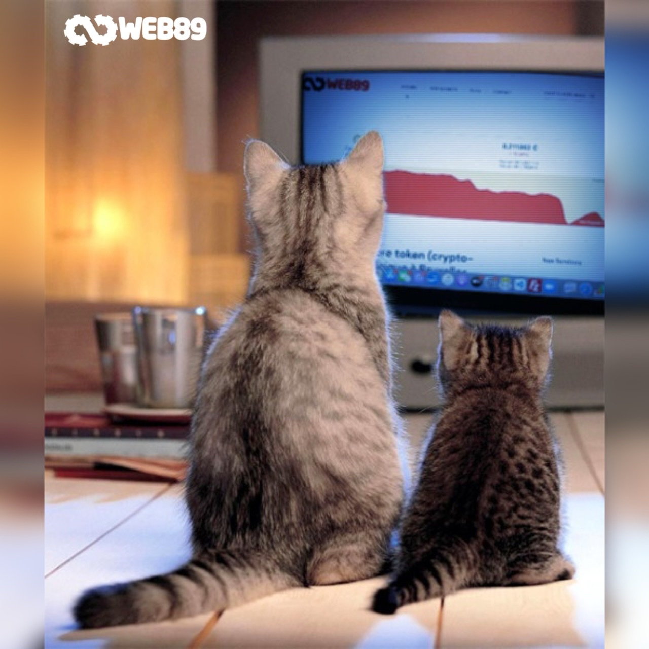 agence web 5550 Alle Agence internet Gestion de contenu Créer votre site Refonte du site Projet web