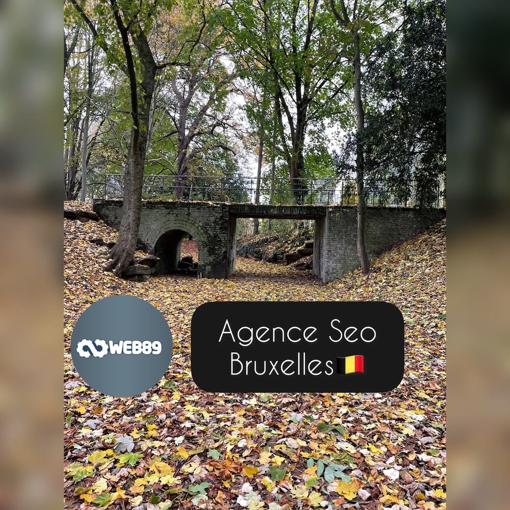 8691 Leisele Agence internet Gestion de contenu Créer votre site Refonte du site Projet web