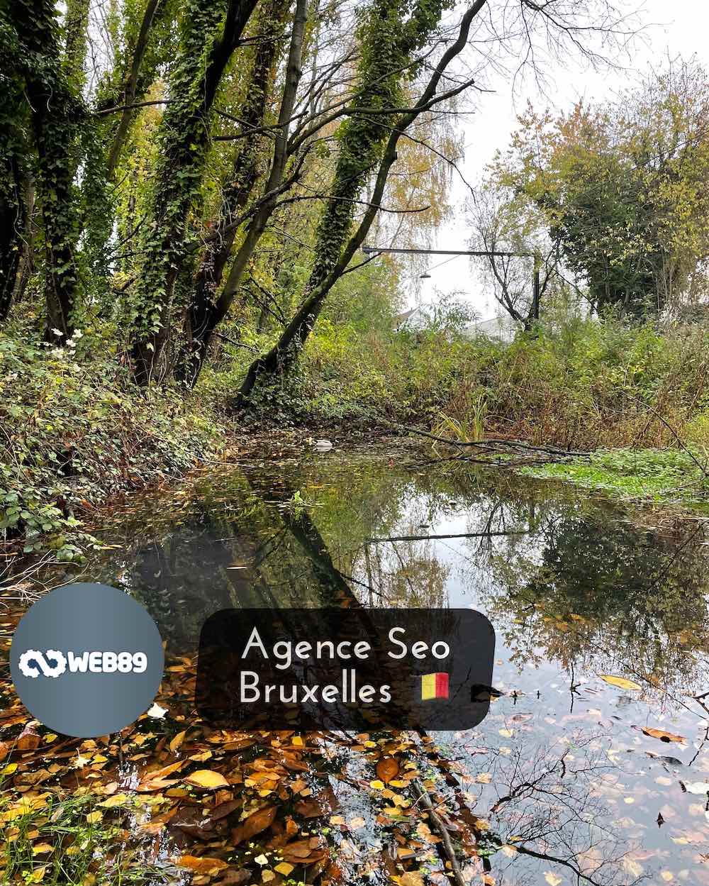1160 Bruxelles (auderghem) Agence internet Gestion de contenu Créer votre site Refonte du site Projet web