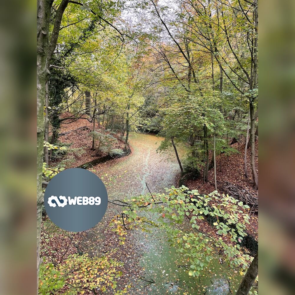 2490 Balen Agence internet Gestion de contenu Créer votre site Refonte du site Projet web