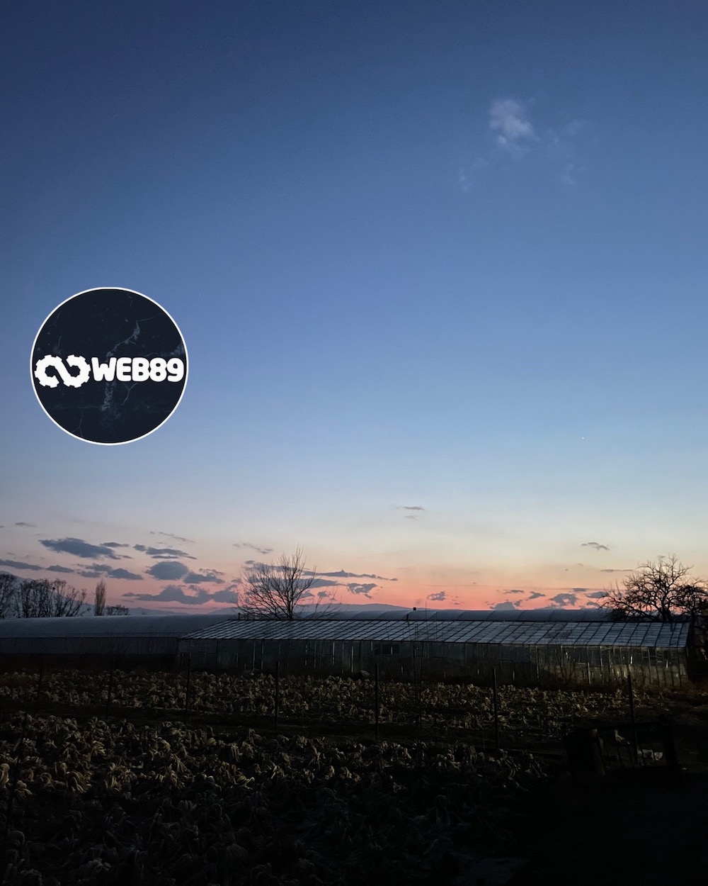 8870 Kachtem Agence internet Gestion de contenu Créer votre site Refonte du site Projet web