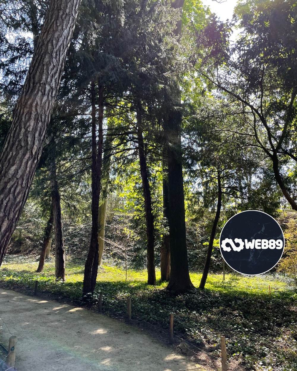1602 Vlezenbeek Agence internet Gestion de contenu Créer votre site Refonte du site Projet web